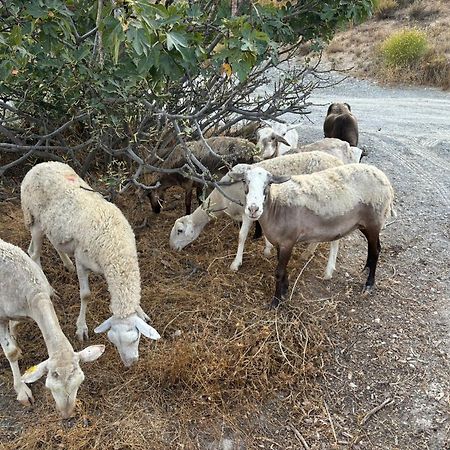 Cortijo La Vista Villa ออร์กิวา ภายนอก รูปภาพ
