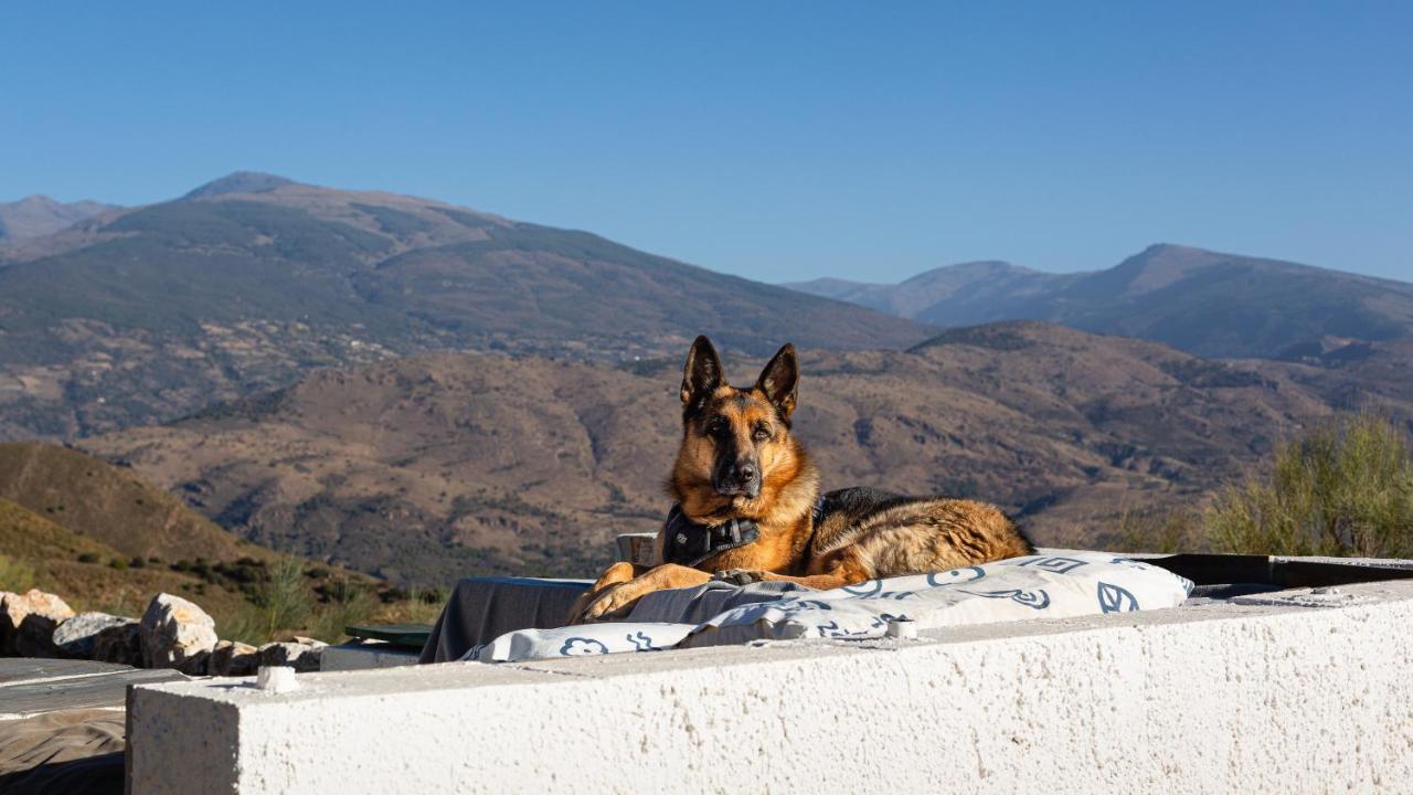 Cortijo La Vista Villa ออร์กิวา ภายนอก รูปภาพ