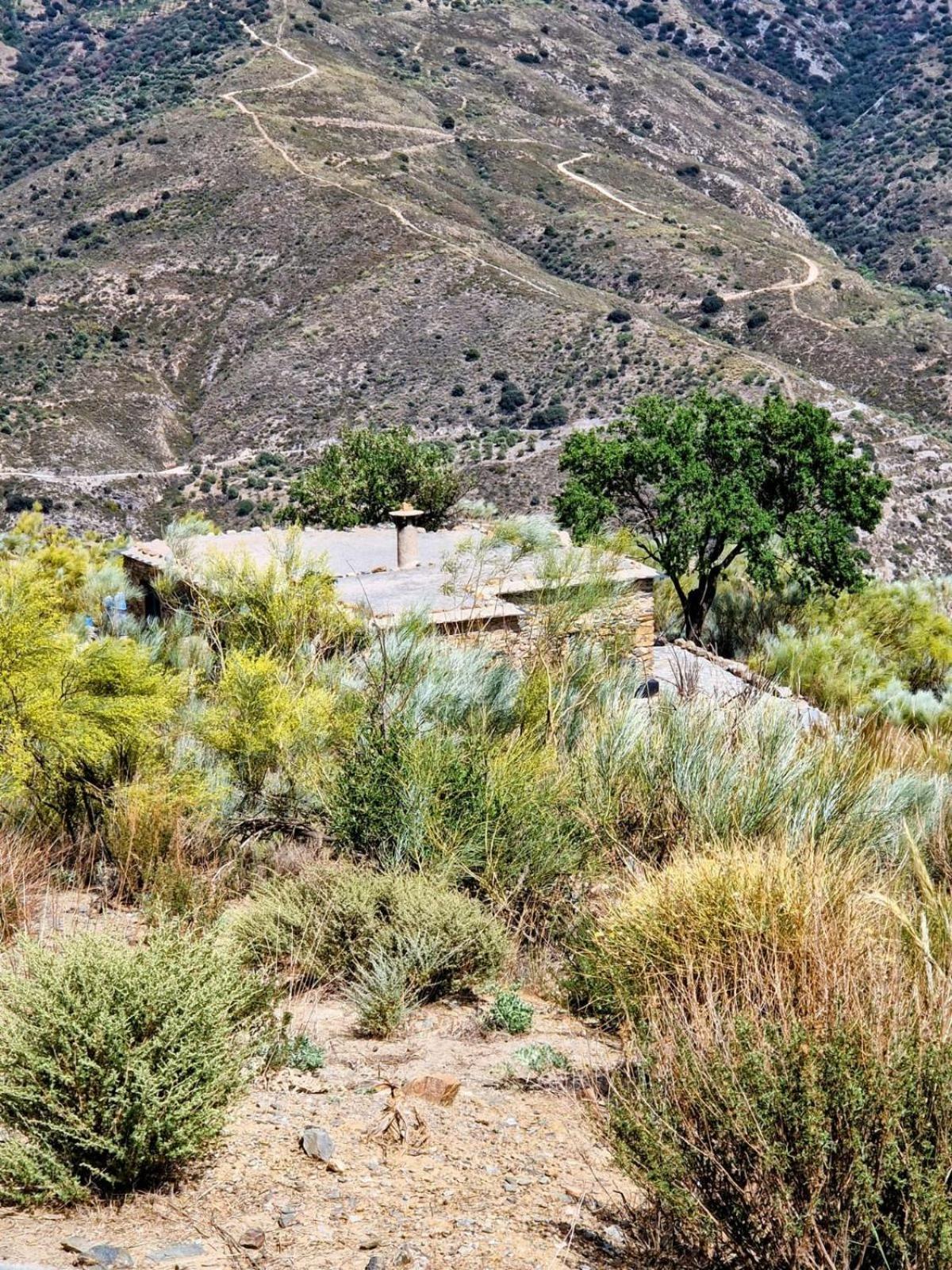 Cortijo La Vista Villa ออร์กิวา ภายนอก รูปภาพ